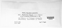 Image Associated With the Occurence
